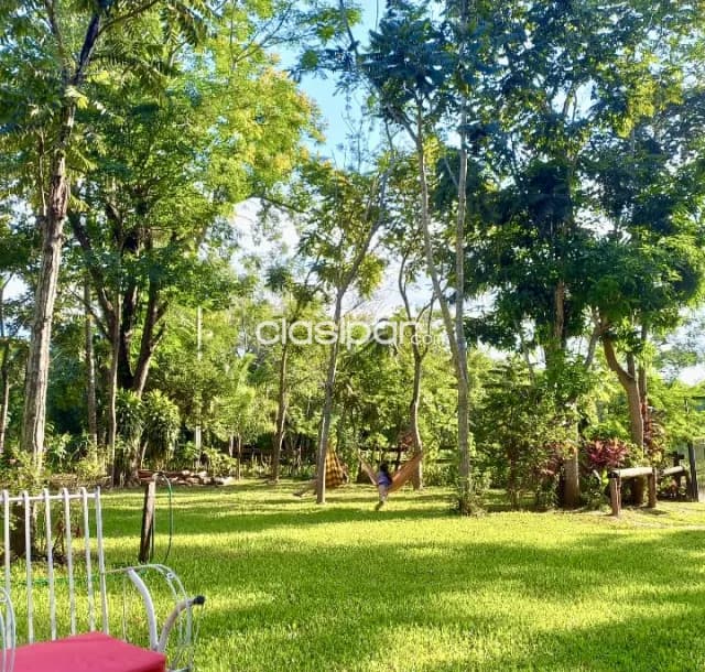 Granja en Eusebio Ayala - 2 Ha — foto 5