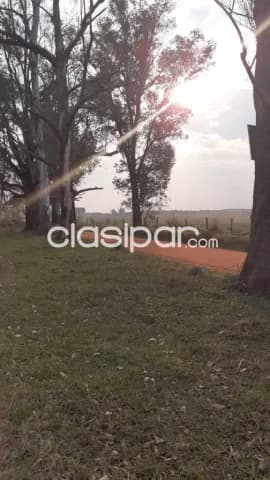 ‼️ hermosa propiedad en piribebuy camino a pirareta, 2.640 mts², esquina, titulado, foto 4