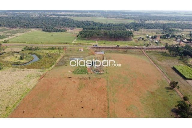 Campo o estancia mas de 6 hectareas en minga guazu s/ruta juan leon mayorquin