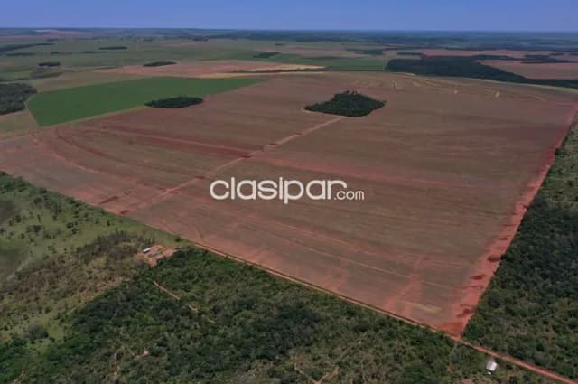 Propiedad Rural de 381 Hectáreas en Itanarã, Canindeyú - LCS7841867 — foto 3