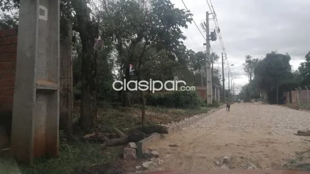 Terreno en Luque Loma Merlo — foto 3