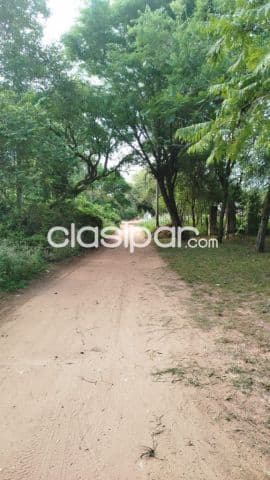 2 Terrenos en San Bernardino