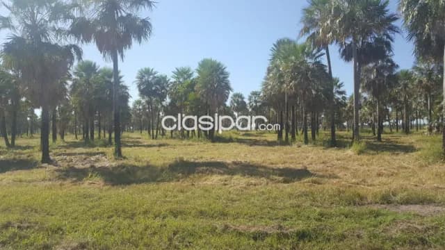 TERRENO – Chaco’i, Nueva Asunción — foto 3