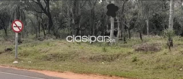4 TERRENOS EN ALTOS 📍Sobre ruta, excelente ubicación para casa quinta — foto 3