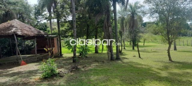 4 TERRENOS JUNTOS – Ciudad de Caacupé 📍 Km 60 de la Ruta PY02 — foto principal