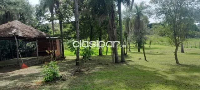 4 TERRENOS JUNTOS – Ciudad de Caacupé 📍 Km 60 de la Ruta PY02 — foto 2