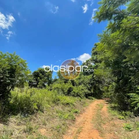 3 TERRENOS – Ciudad de Areguá, Barrio Kokue Guasu 📍 A 50 mts de asfalto — foto 4