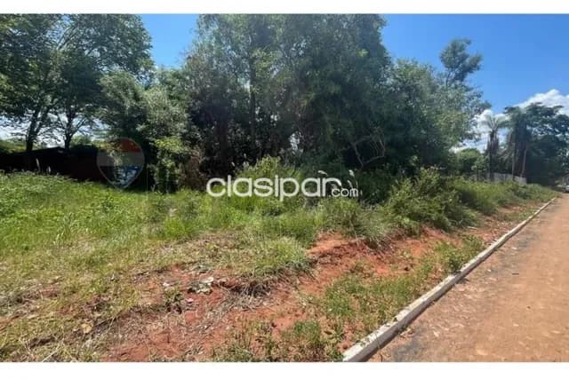 Terreno de 1 Hectárea en Luque — foto 2