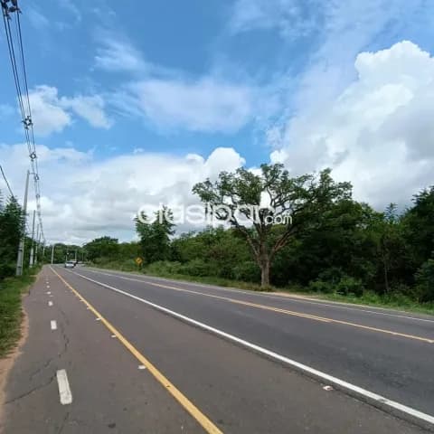 7 hectáreas sobre la ruta Luque San Bernardino — foto 2