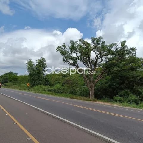 7 hectáreas sobre la ruta Luque San Bernardino — foto 3