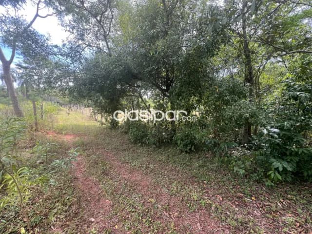 En Oferta Propiedad Rural de 5 Hectáreas en Aguaity - Eusebio Ayala - Cordillera V246, foto 4