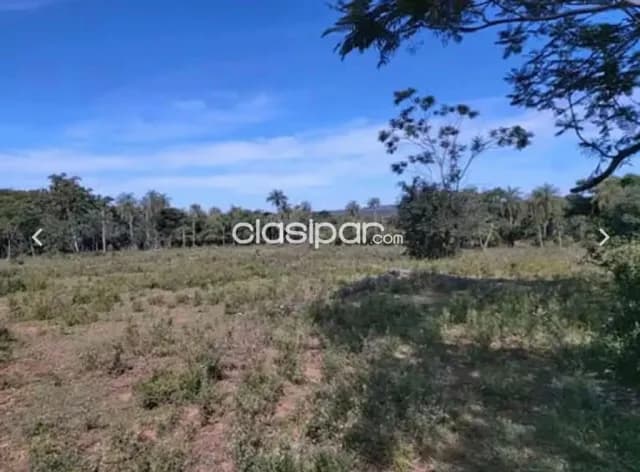 En Oferta Propiedad Rural de 5 Hectáreas en Aguaity - Eusebio Ayala - Cordillera V246, foto 5