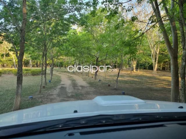 En venta 7 hectáreas en Nueva Colombia, foto 3