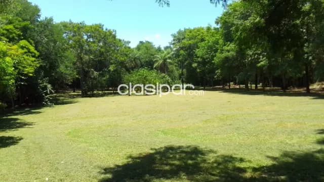 En venta 7 hectáreas en Nueva Colombia, foto 5