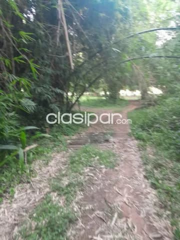 Remato 42 hectáreas s/ruta Luque aregua ideal p/todo desarrollo a solo 3 $ por m2, foto 2