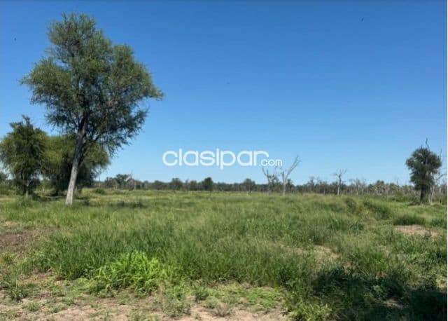 Propiedad Rural de 1.201 Hectáreas, Distrito Fortín Caballero-CLCS7850864