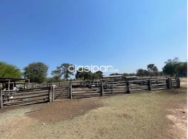 Propiedad Rural de 1.201 Hectáreas, Distrito Fortín Caballero-CLCS7850864, foto 3