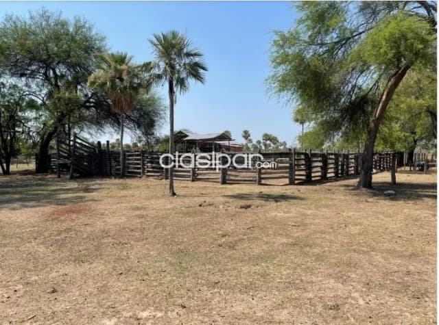 Propiedad Rural de 1.201 Hectáreas, Distrito Fortín Caballero-CLCS7850864, foto 4