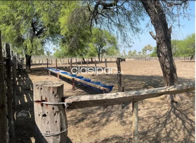 Propiedad Rural de 1.201 Hectáreas, Distrito Fortín Caballero-CLCS7850864, foto 5