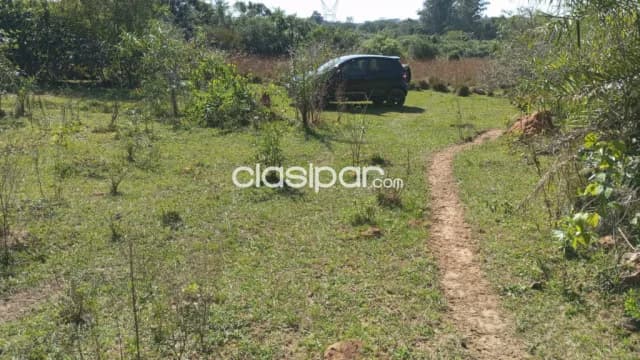 6 hectareas itacurubi de la cordillera, foto 3