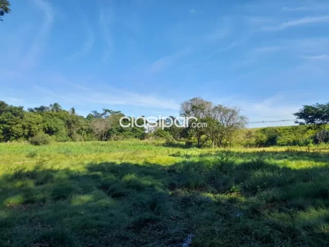 En venta amplia propiedad de 8 has con arroyo, foto 2