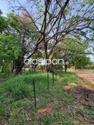 Importante propiedad en venta en Mariano Roque Alonso — foto 4