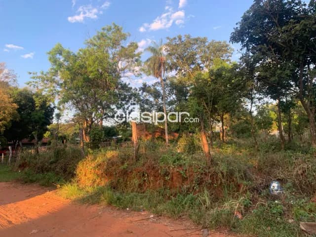 Terreno en Luque, foto 4