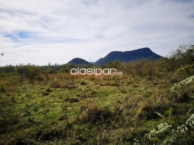 Terreno en Paraguari - 5 Ha — foto 4