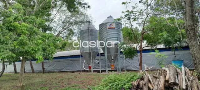De granja avicola en villeta zona alta cod 1225 — foto 4