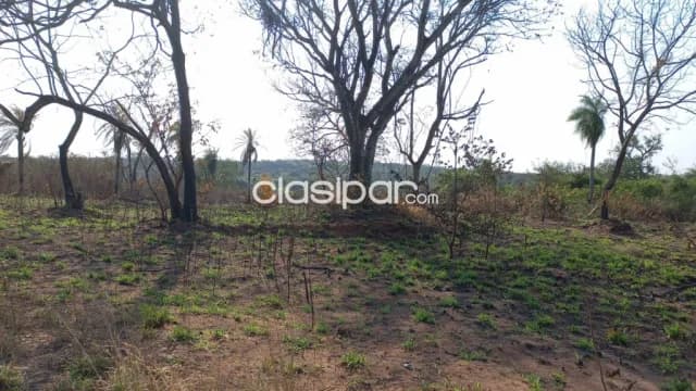 Amplio Terreno de 6 Hectáreas en Limpio - LLA7863031 — foto 4