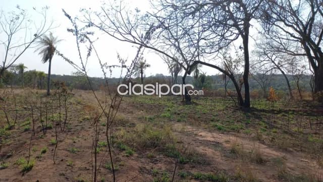 Amplio Terreno de 6 Hectáreas en Limpio - LLA7863031 — foto 5