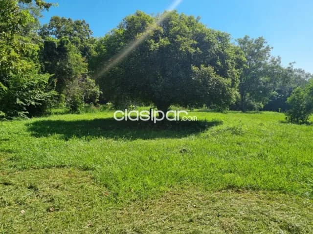 En venta propiedad granja la casona con 23.000 m2 (2,3 hectareas), zona capiata ruta !1 — foto 3