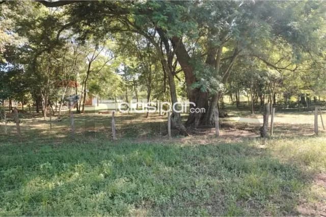 24 hectareas sobre asfalto en san pedro — foto 4
