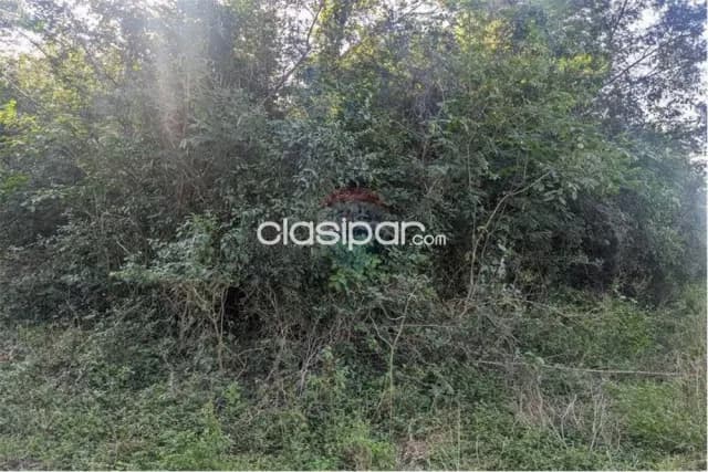 Terreno en limpio, foto 4