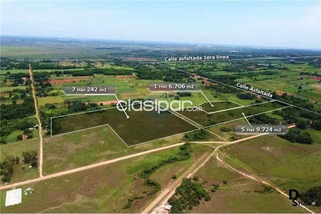 Mas de 14 hectareas en nueva italia s/ruta asfaltada ideal p/todo proyecto, foto 2