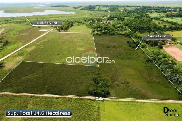 Mas de 14 hectareas en nueva italia s/ruta asfaltada ideal p/todo proyecto, foto 4