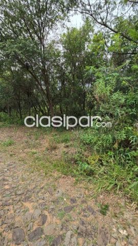 terreno de 585 m2 en San Bernardino anfiteatro