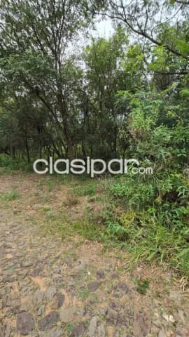 terreno de 585 m2 en San Bernardino anfiteatro, foto 2