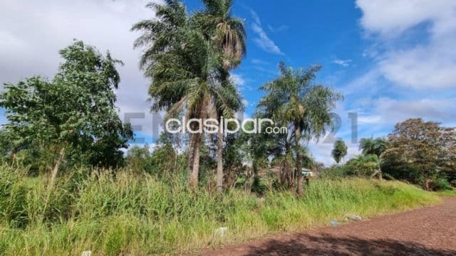 Vende imponente terreno en Pedro Juan Caballero