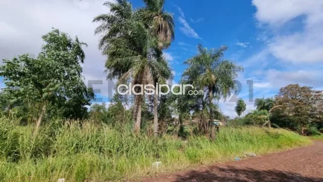 Vende imponente terreno en Pedro Juan Caballero, foto 2