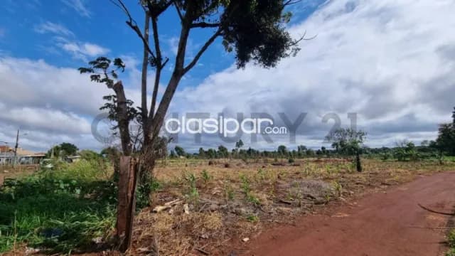 Vende imponente terreno en Pedro Juan Caballero, foto 5