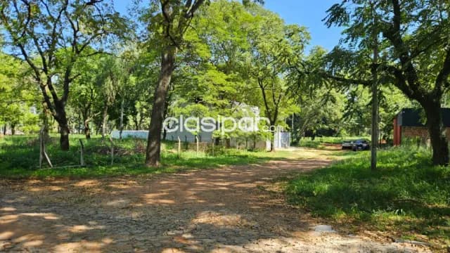 Terrenos Con Mejor Precio En La Zona Sek Plaza De Los Mangos En Lambare, foto 5