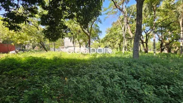 Terrenos Con Mejor Precio En La Zona Sek Plaza De Los Mangos En Lambare — foto 5