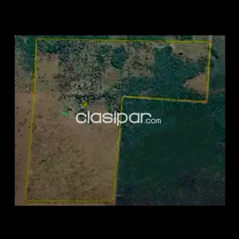 204 hectareasen Venta bajo Chaco a 195 km de Asu., RMTO Ó CDO O FINANCIO EN 4 PAGOS PRENDA — foto 3