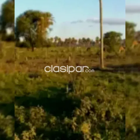 204 hectareasen Venta bajo Chaco a 195 km de Asu., RMTO Ó CDO O FINANCIO EN 4 PAGOS PRENDA — foto 4
