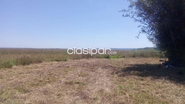 Campo Ganadero en Iturbe - 126 Ha