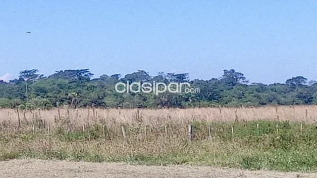 Campo Ganadero en Iturbe - 126 Ha, foto 3