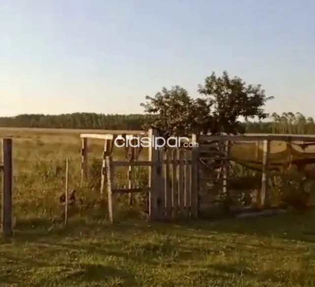 Campo Ganadero en Iturbe - 126 Ha, foto 4