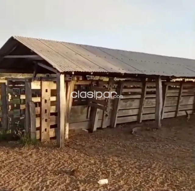 Campo Ganadero en Iturbe - 126 Ha, foto 5