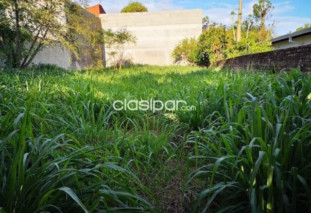 Terreno de 12x36 m2 en barrio Picada de Villa Elisa zona Parque Serenidad, foto 1